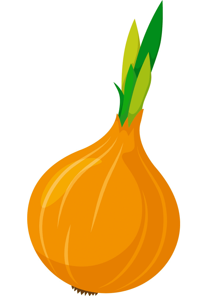 Onion Clipart Png Free