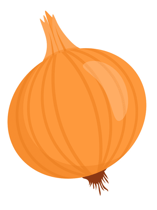 Onion Clipart Png Image