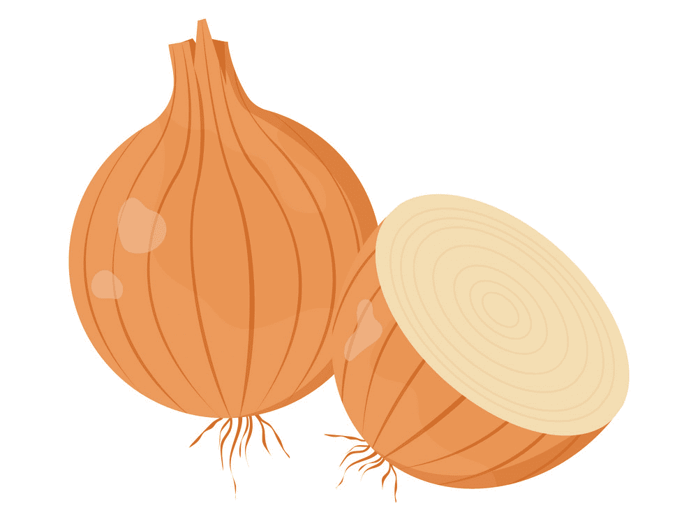 Onion Clipart Png Images