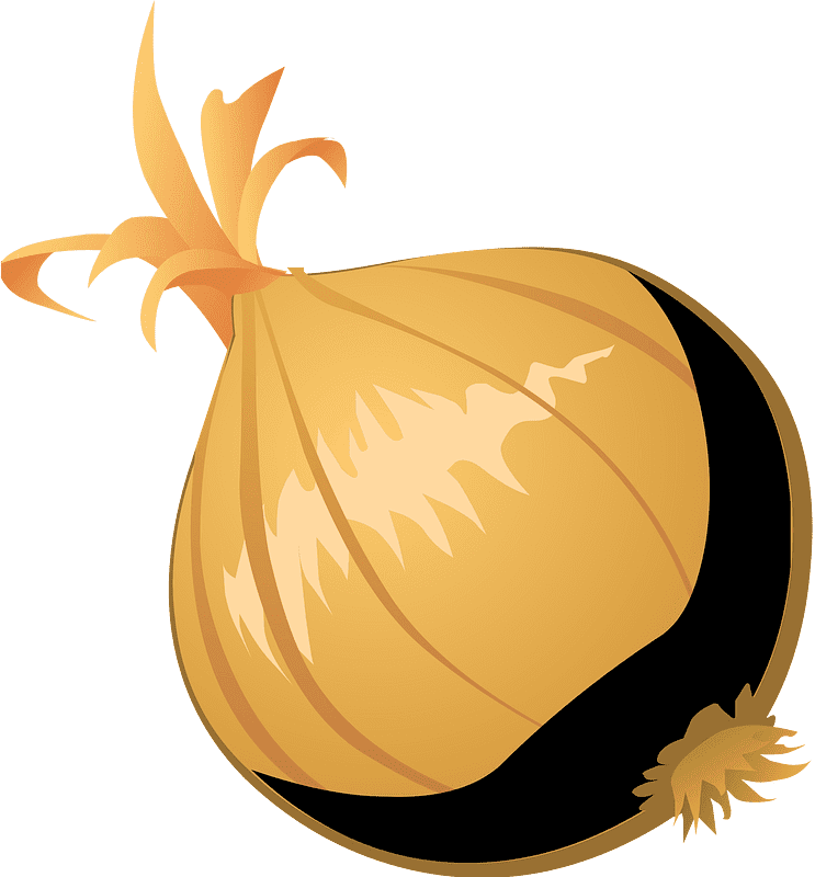 Onion Clipart Png Picture