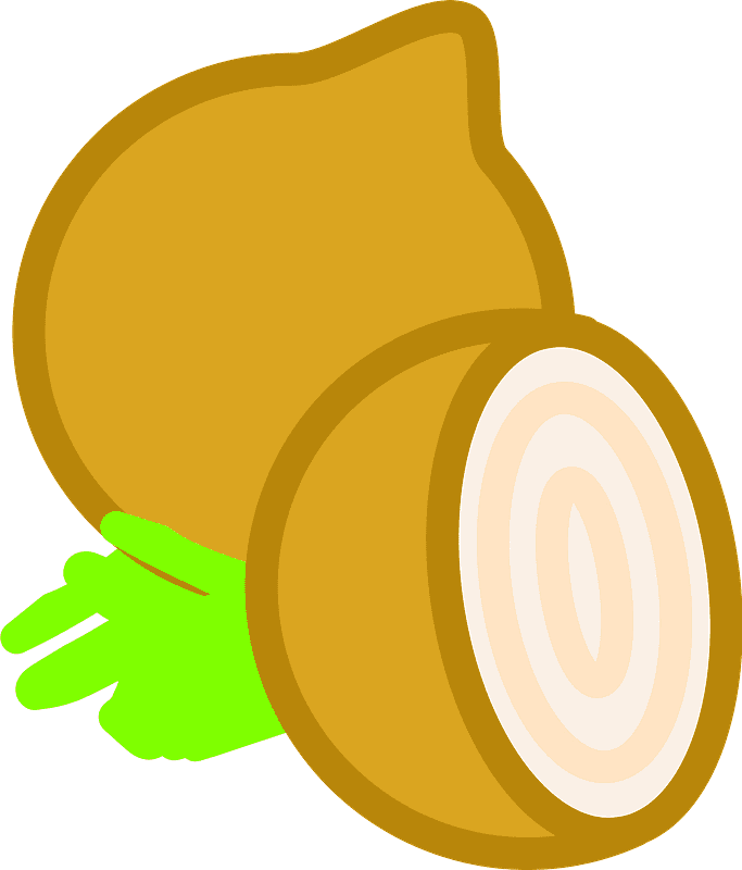Onion Clipart Png Pictures