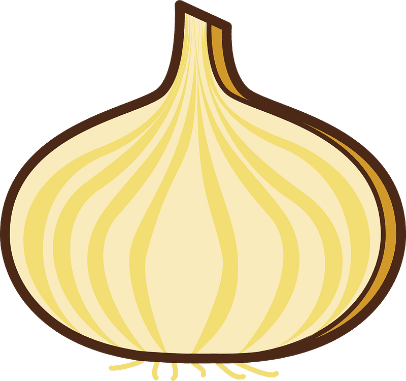 Onion Clipart Transparent Background 1