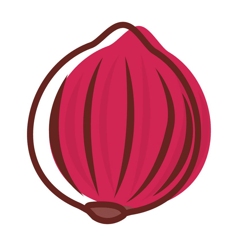 Red Onion Clipart Image
