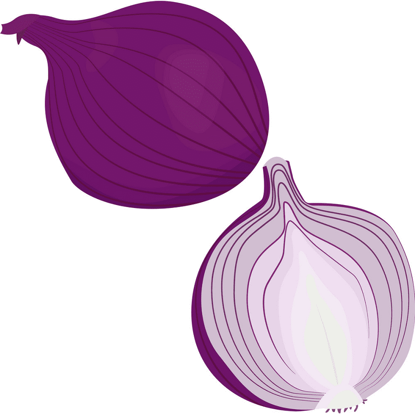 Red Onion Clipart Png Free