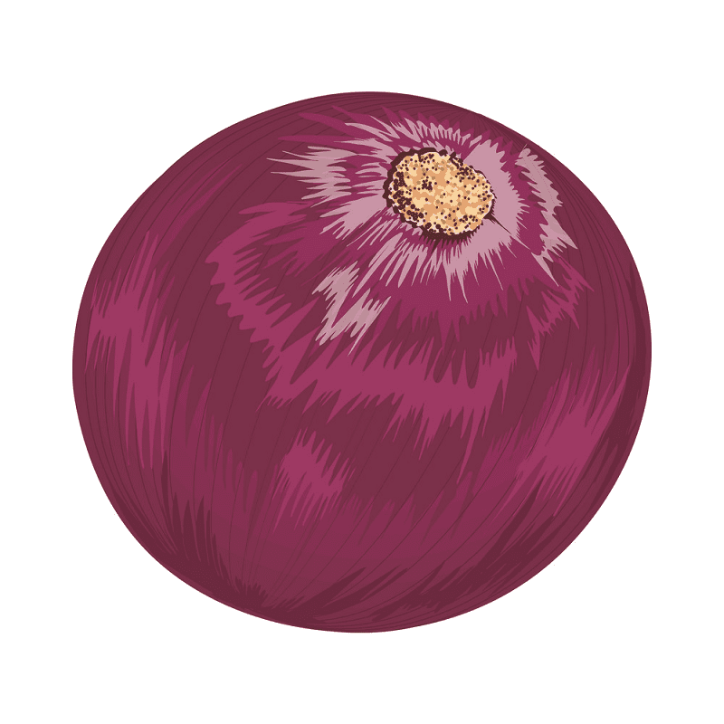 Red Onion Clipart Png Image