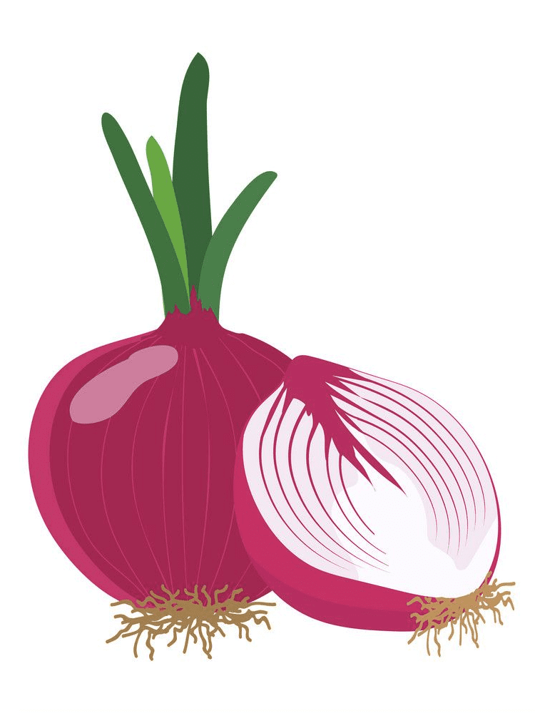 Red Onion Clipart Png Images