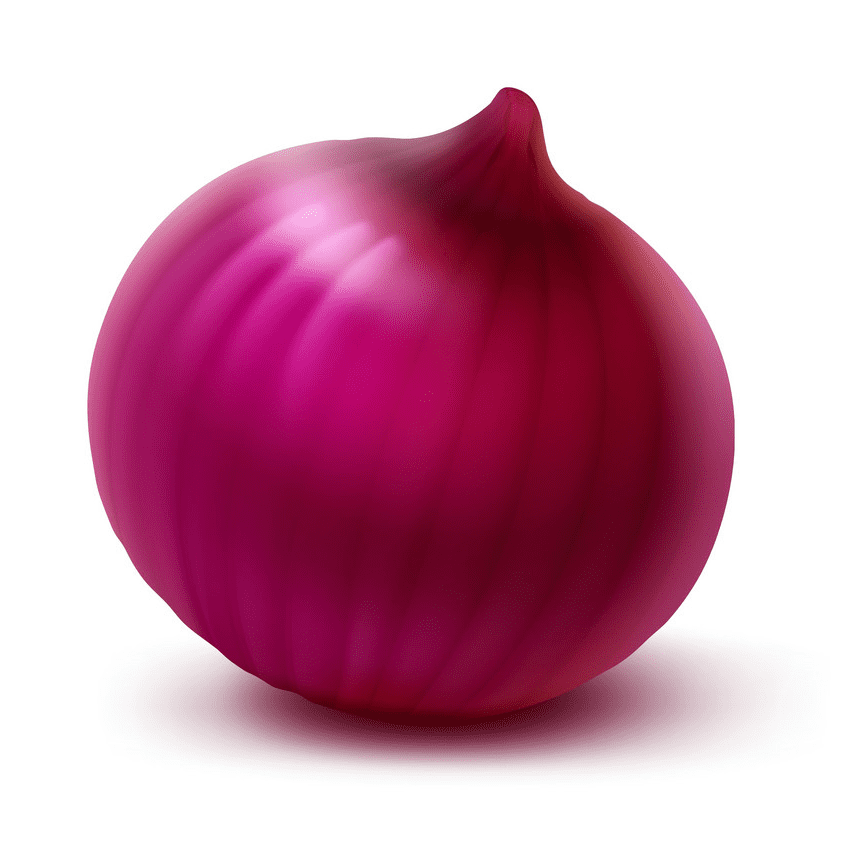 Red Onion Clipart