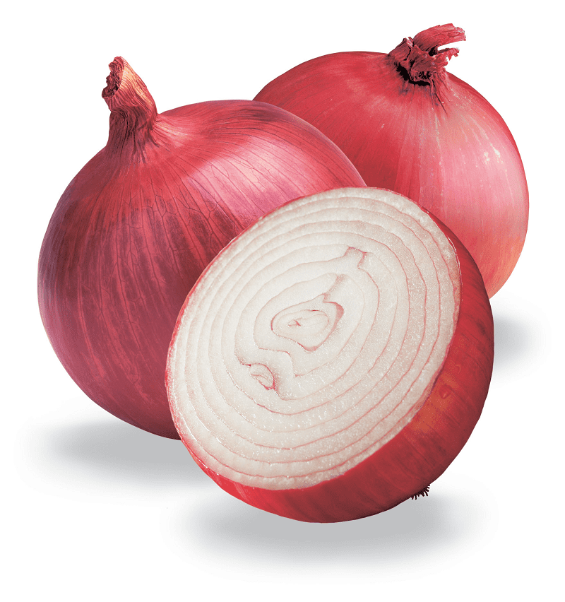 Red Onions Clipart