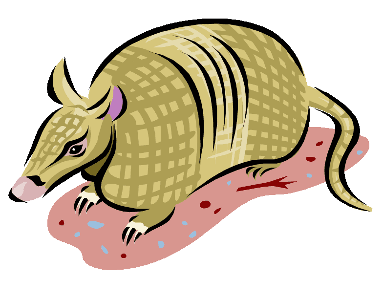 Armadillo Clipart Free Images