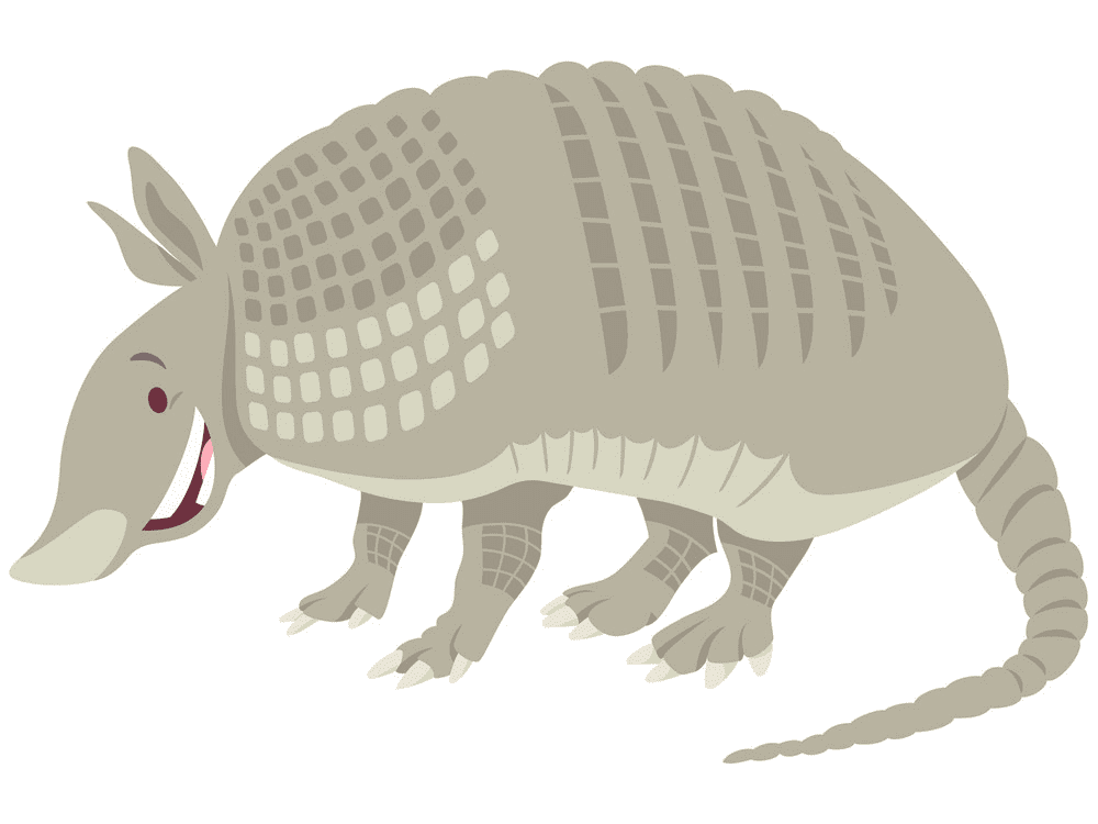 Armadillo Clipart Free Png Images