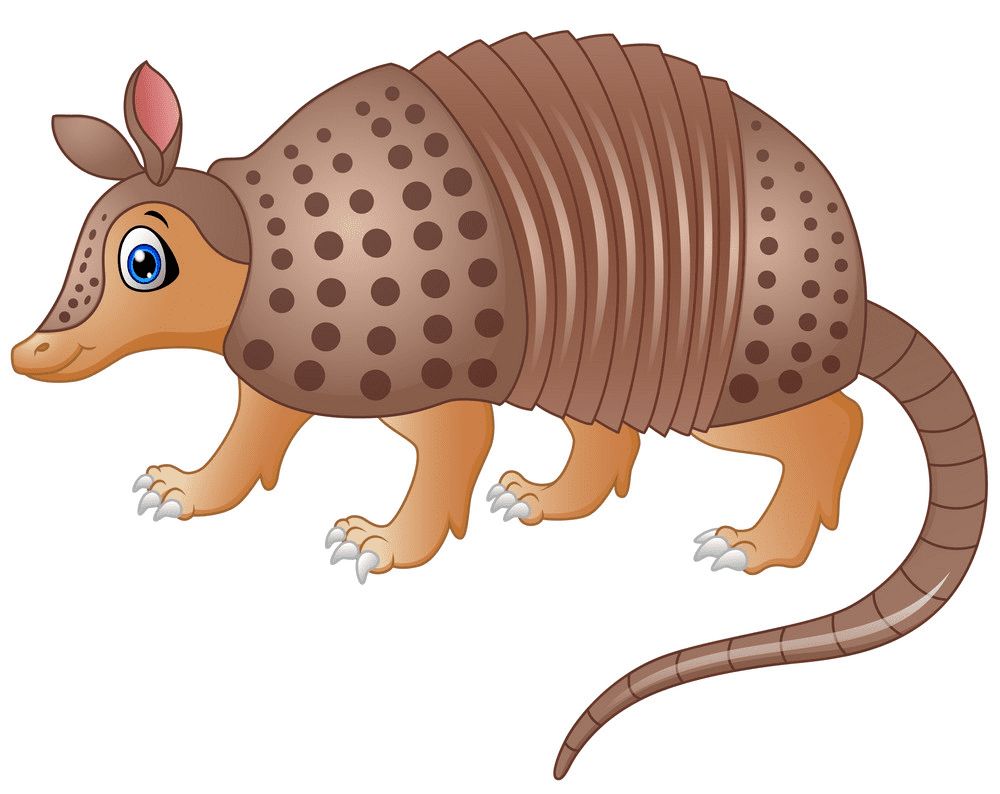 Armadillo Clipart Images