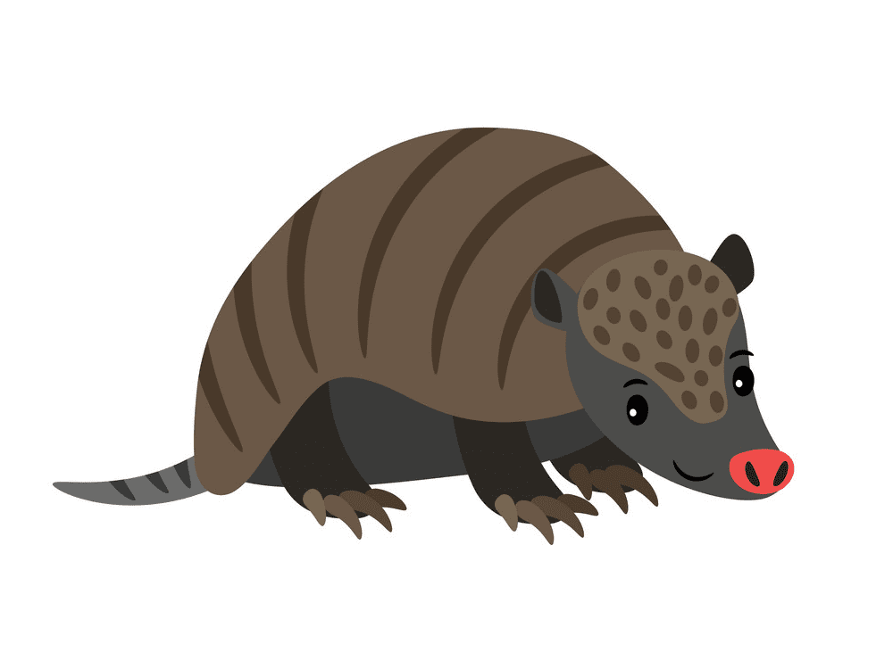 Armadillo Clipart Pictures