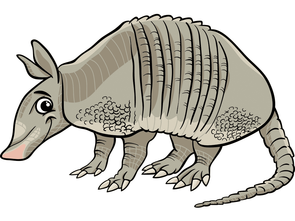 Armadillo Clipart Png For Free