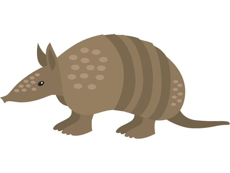 Armadillo Clipart Transparent For Free