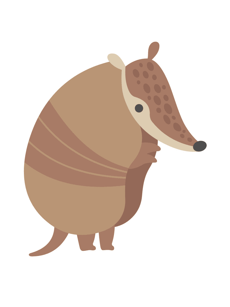 Armadillo Png Clipart