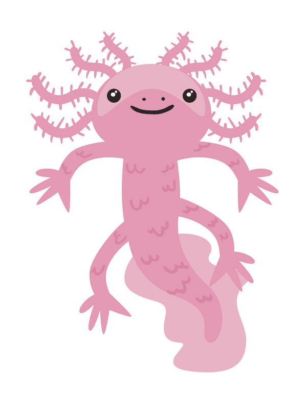 Axolotl Clipart Png For Free