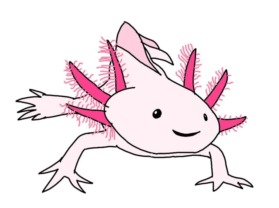 Axolotl Clipart Png Image