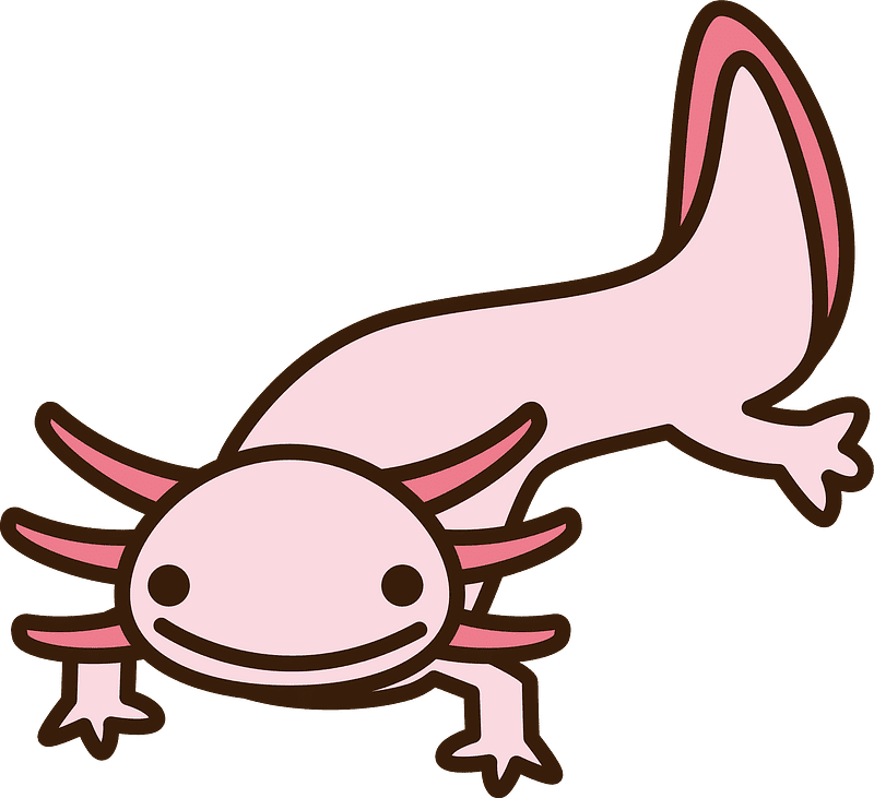 Axolotl Clipart Transparent Image