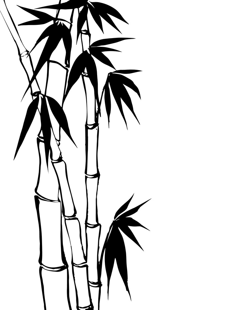 Bamboo Clipart Black and White