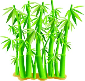 Bamboo Clipart For Free