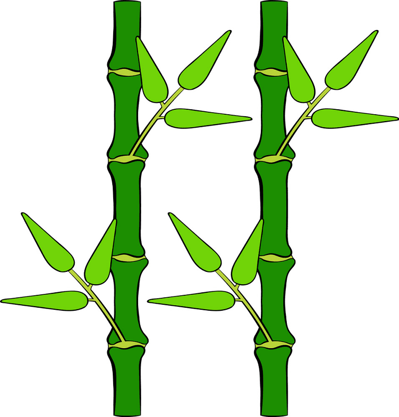 Bamboo Clipart Free Download