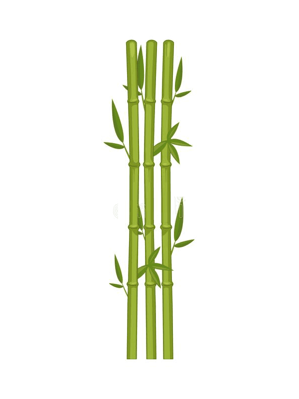 Bamboo Clipart Free Png Image