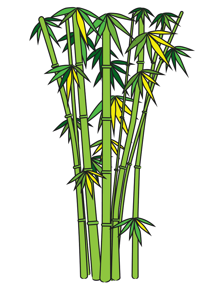 Bamboo Clipart