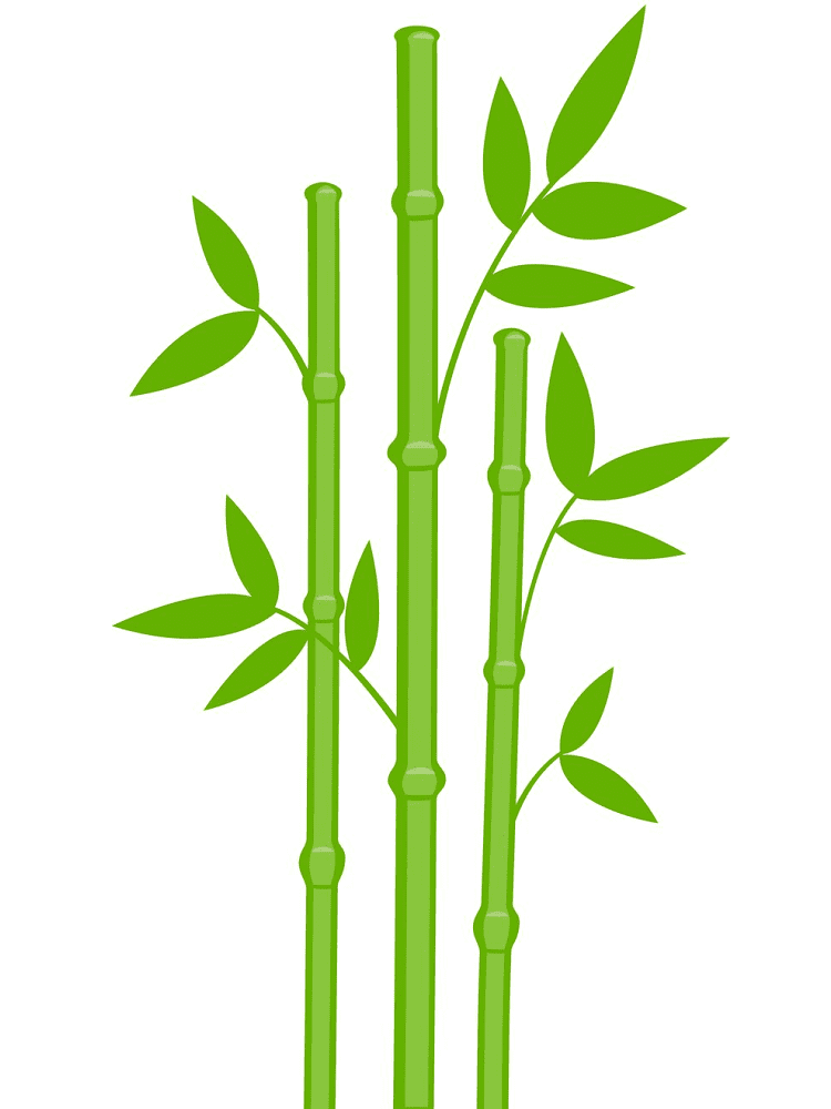 Bamboo Clipart Pictures
