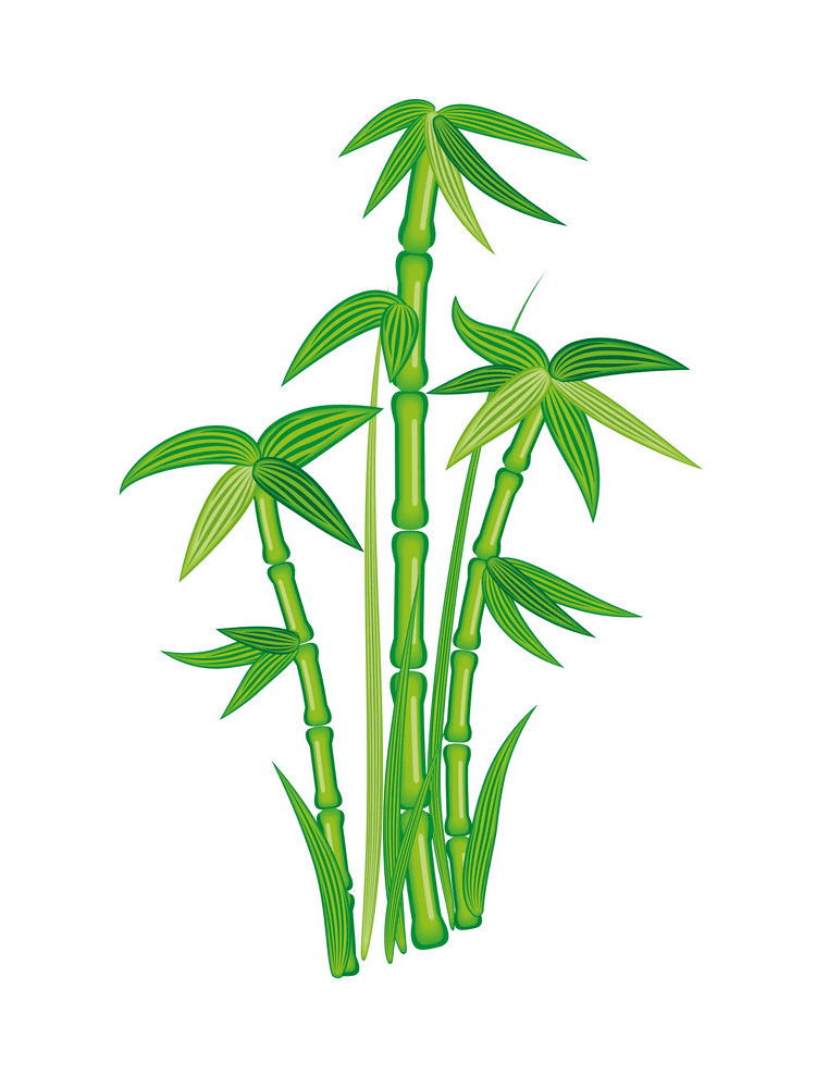 Bamboo Clipart Png Download