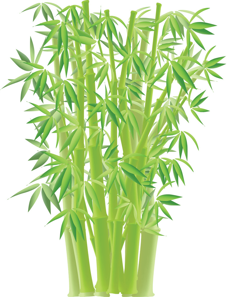 Bamboo Clipart Png Image