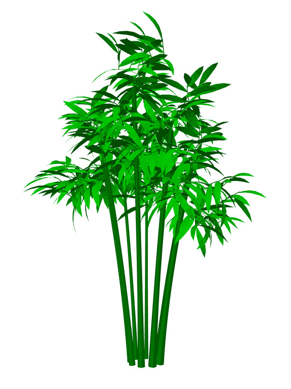 Bamboo Clipart Png Photo