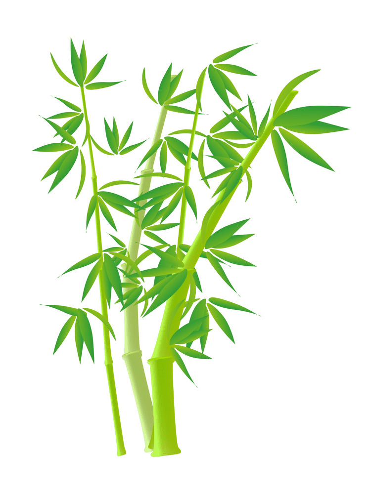 Bamboo Clipart Png Picture