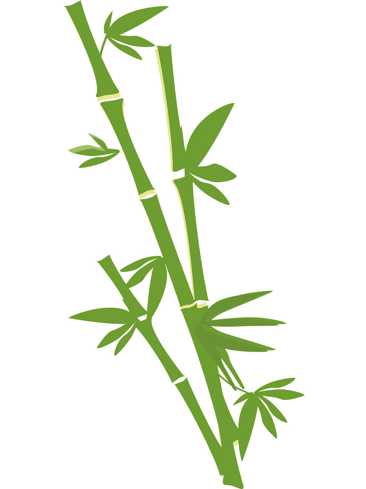Bamboo Clipart Png Pictures