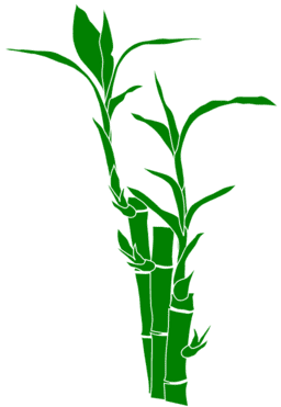 Bamboo Clipart Png
