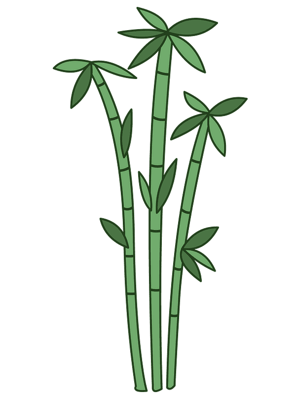 Bamboo Clipart Transparent (1)