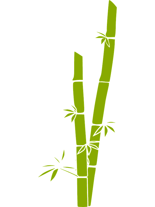 Bamboo Clipart Transparent (2)