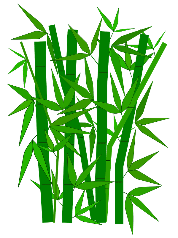 Bamboo Clipart Transparent (3)