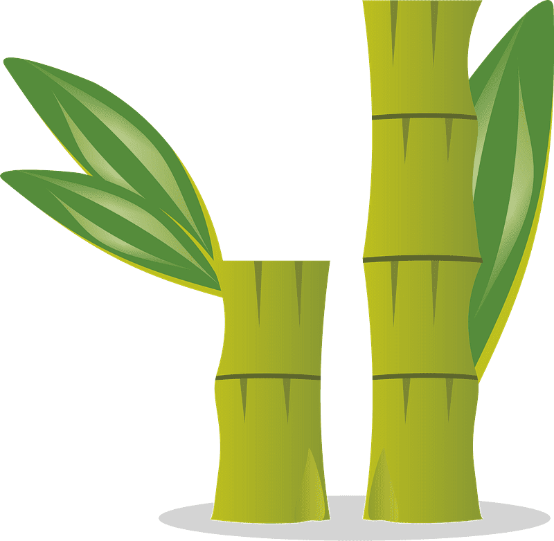 Bamboo Clipart Transparent (7)