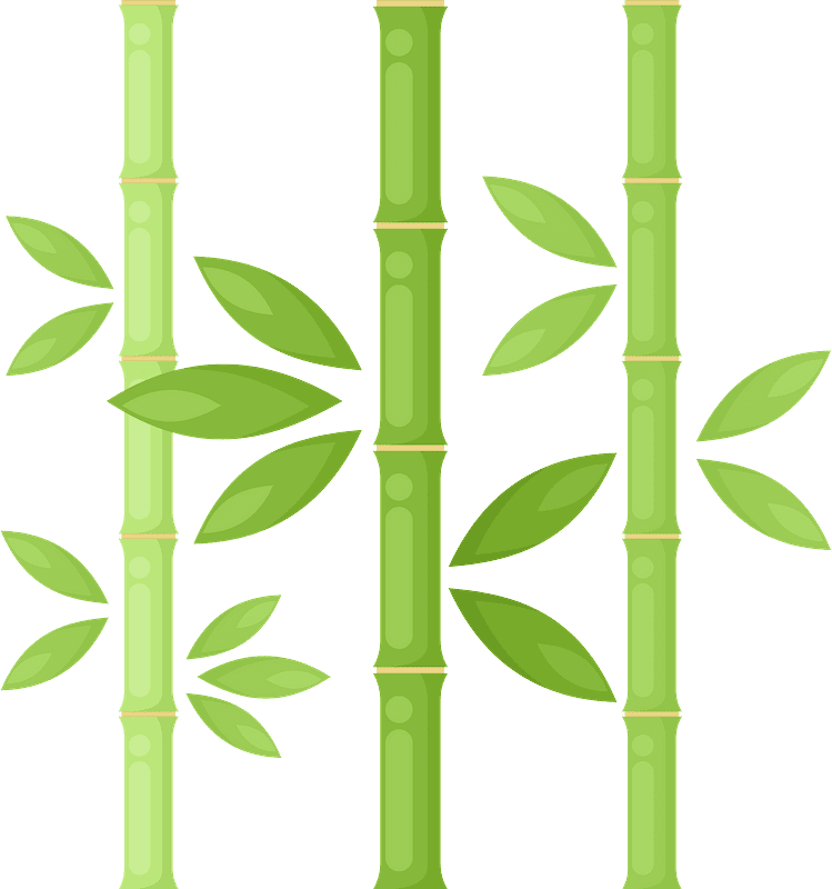 Bamboo Clipart Transparent Download