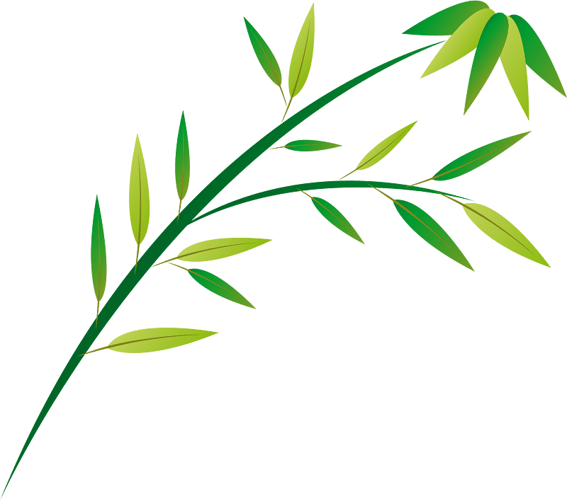 Bamboo Clipart Transparent For Free