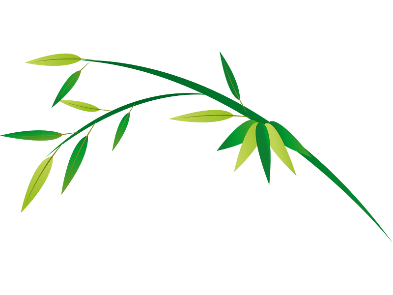 Bamboo Clipart Transparent Free