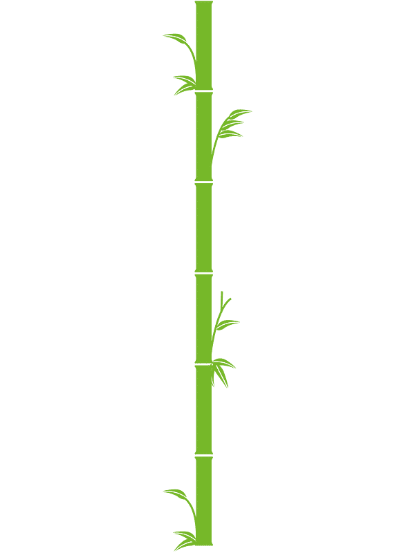 Bamboo Clipart Transparent Picture