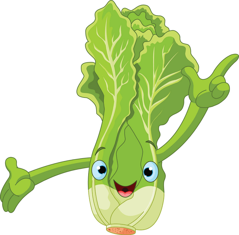 Cartoon Lettuce Clipart