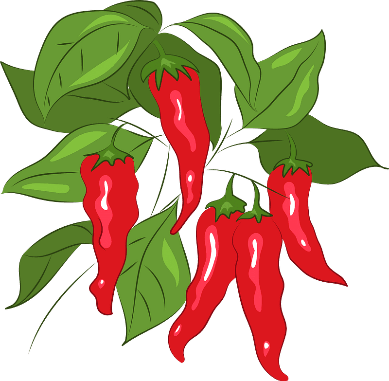 Chili Clipart Transparent For Free