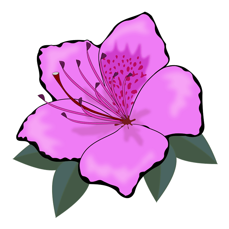 Clipart Hibiscus Flower