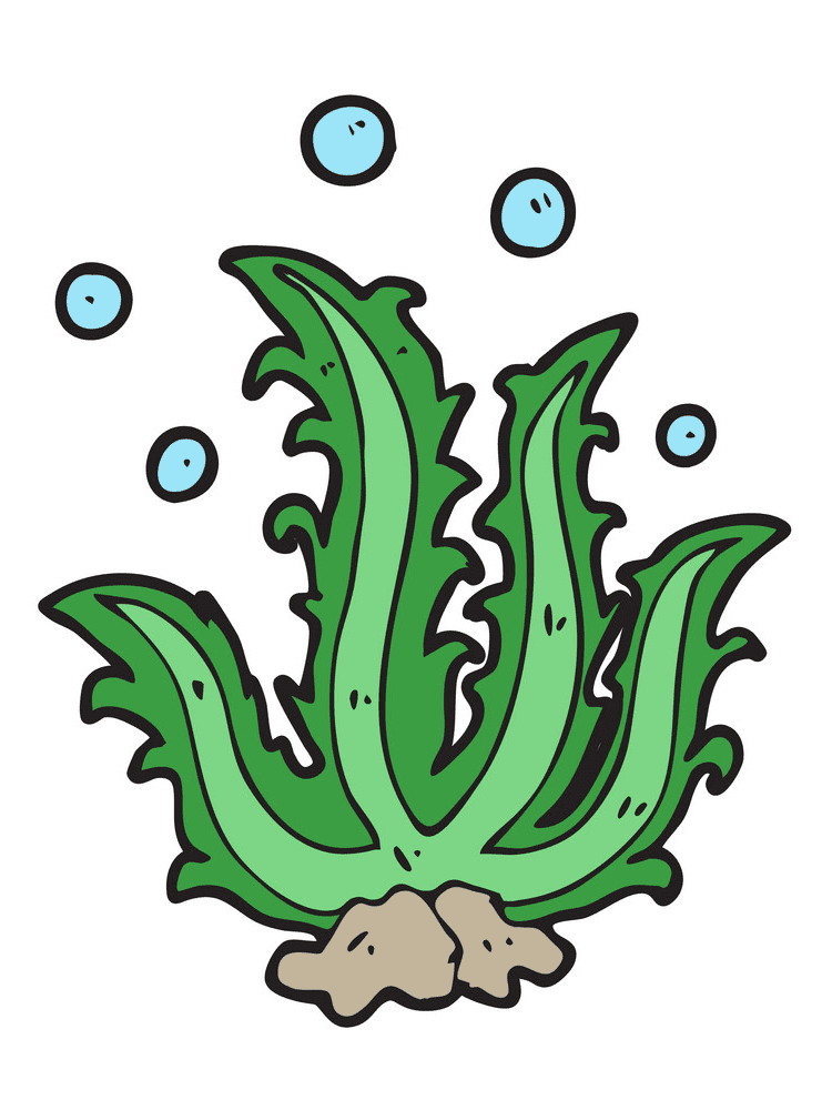 Clipart Seaweed