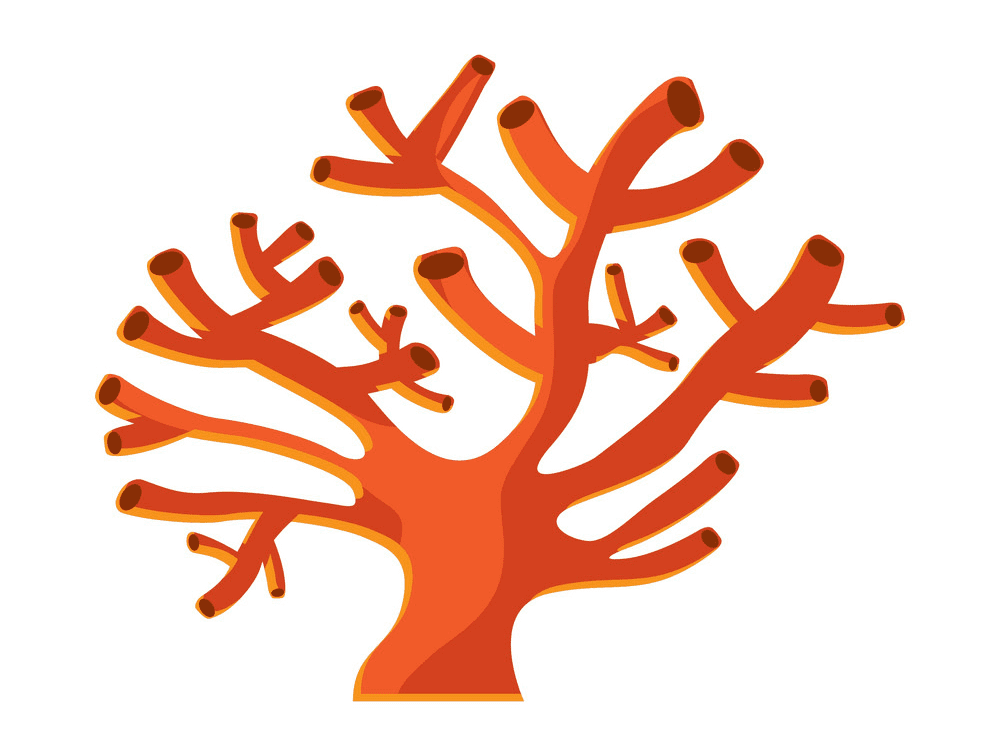Coral Clipart Free Photo