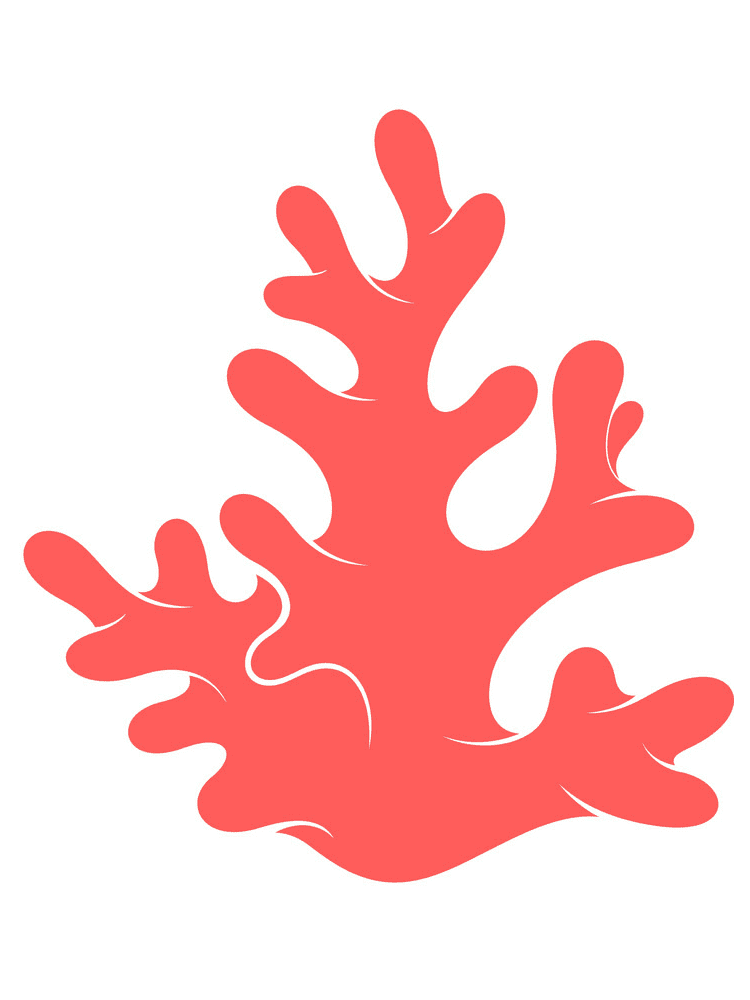 Coral Clipart Free Pictures