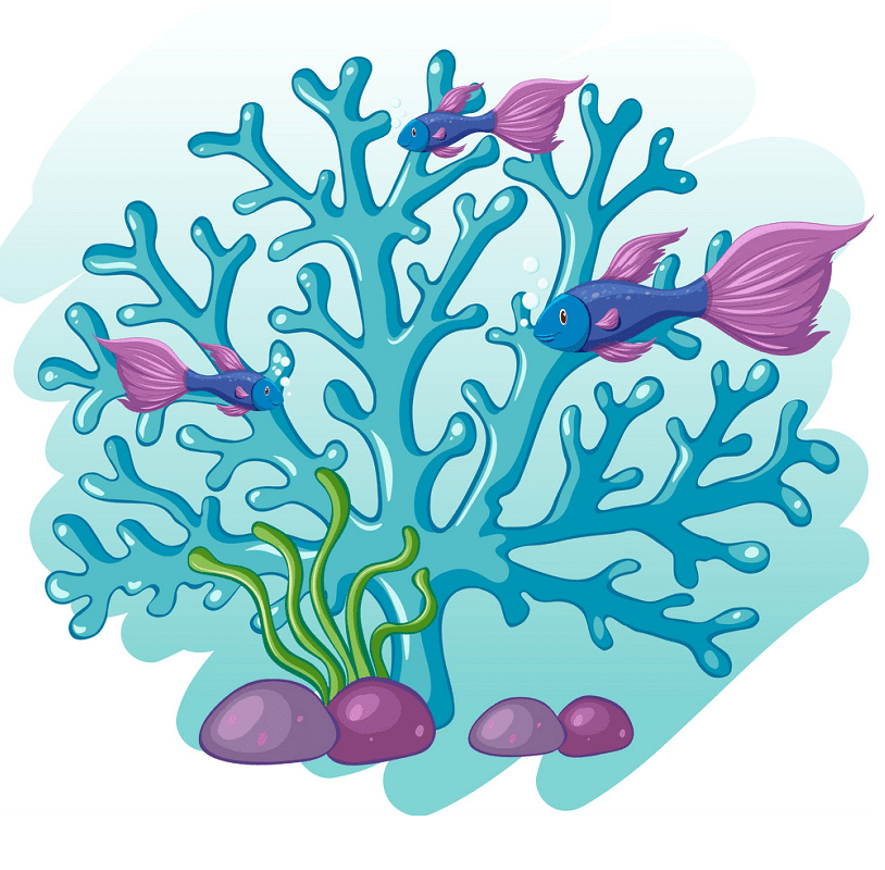 Coral Clipart Png For Free