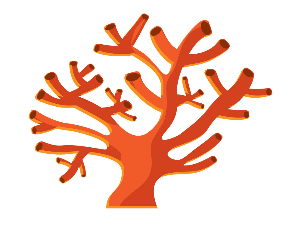 Coral Clipart Png Free